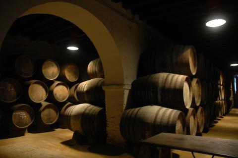 Bodegas