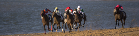 Carreras de Caballos