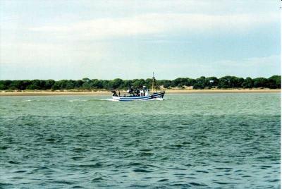Doñana