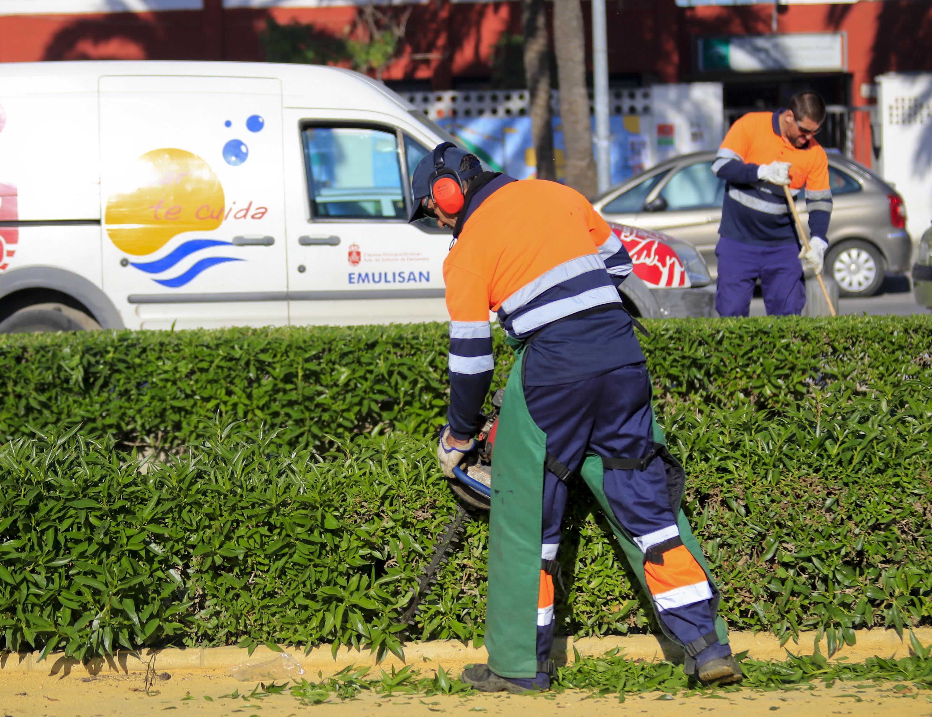 Trabajos de poda en El Palomar. (Foto: Nicolás G. Becerra)