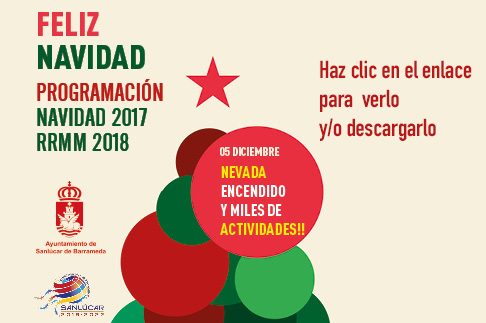 Programación de Navidad
